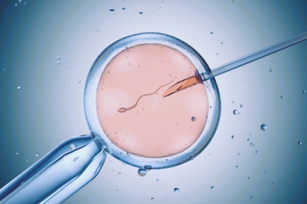 best ivf fertility clinic in goregaon